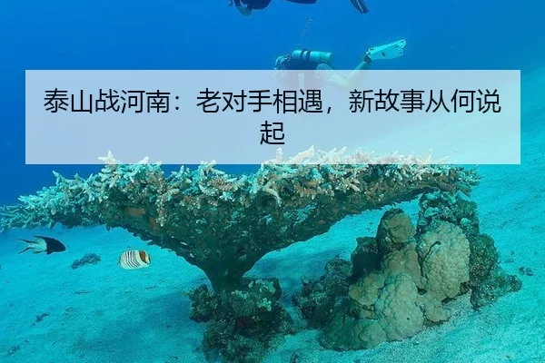 泰山战河南：老对手相遇，新故事从何说起